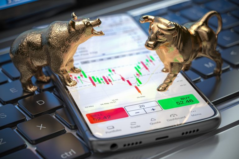 The Bull and Bear Markets