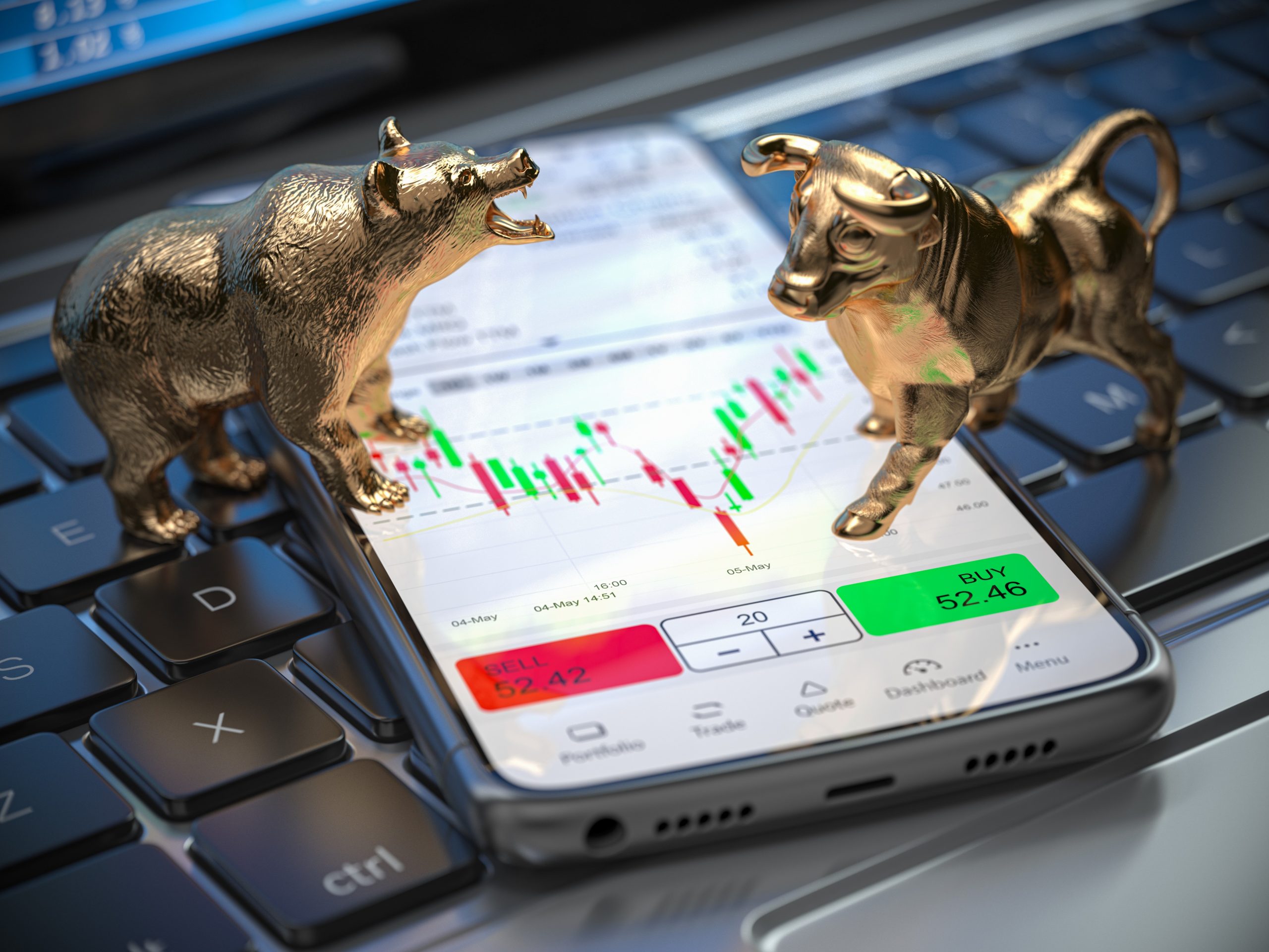 The Bull and Bear Markets